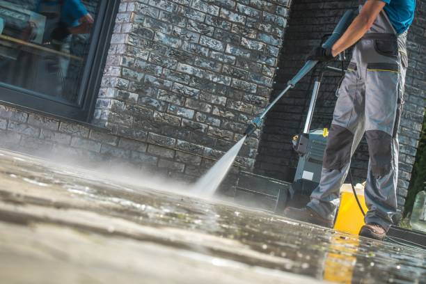 Animal Enclosure Cleaning in East Port Orchard, WA